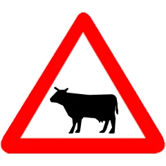 Traffic Sign
